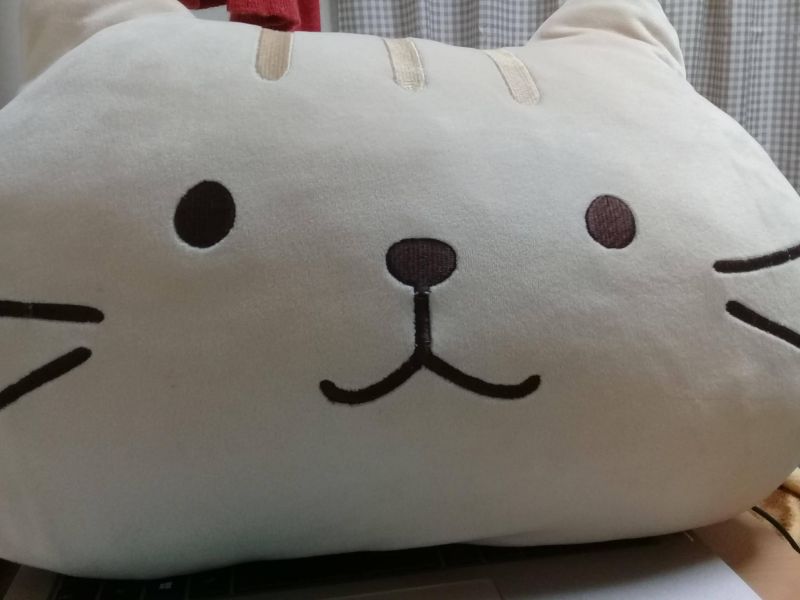 Gấu bông hình mèo